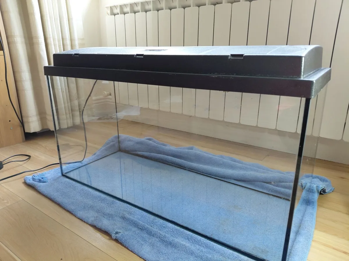 Fish Tank n Stuff - Image 1