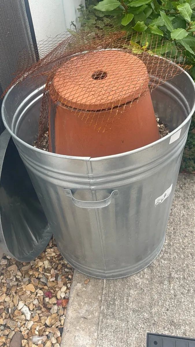 Large DIY Tandoor / Garden Bread Oven-like new - Image 1
