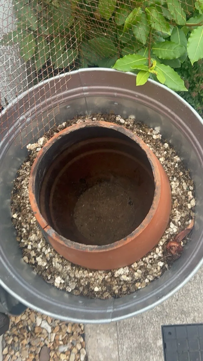 Large DIY Tandoor / Garden Bread Oven-like new - Image 4