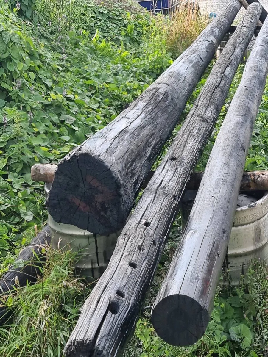 ESB poles - Image 2