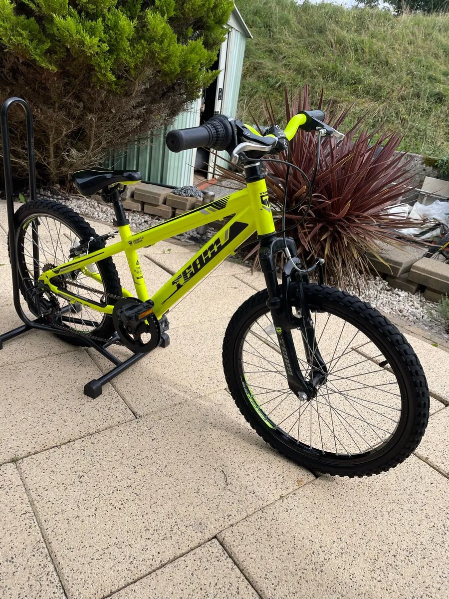 20” team child’s mountain bike - Image 1