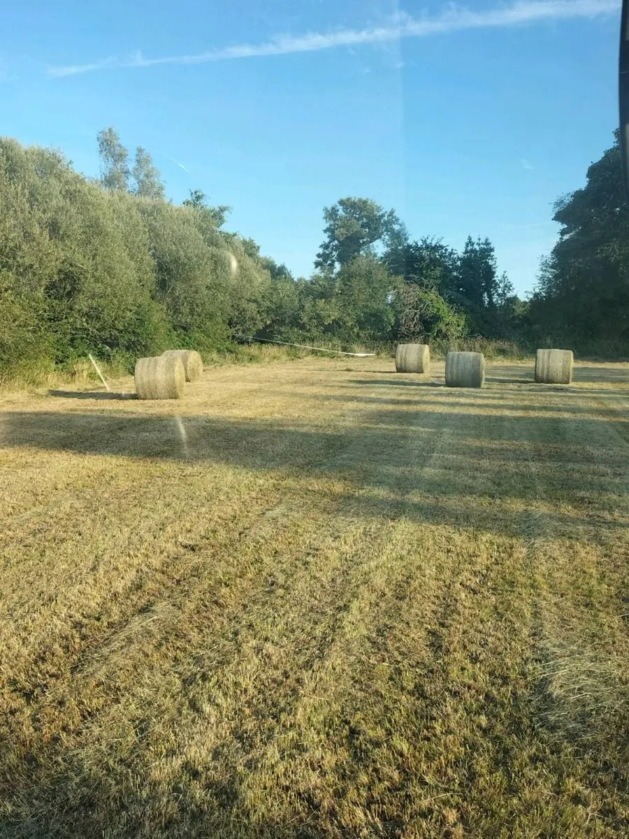 Krone 1250 - Image 2