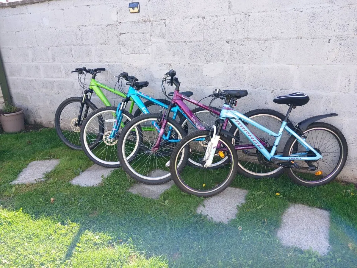 Bikes - Image 1