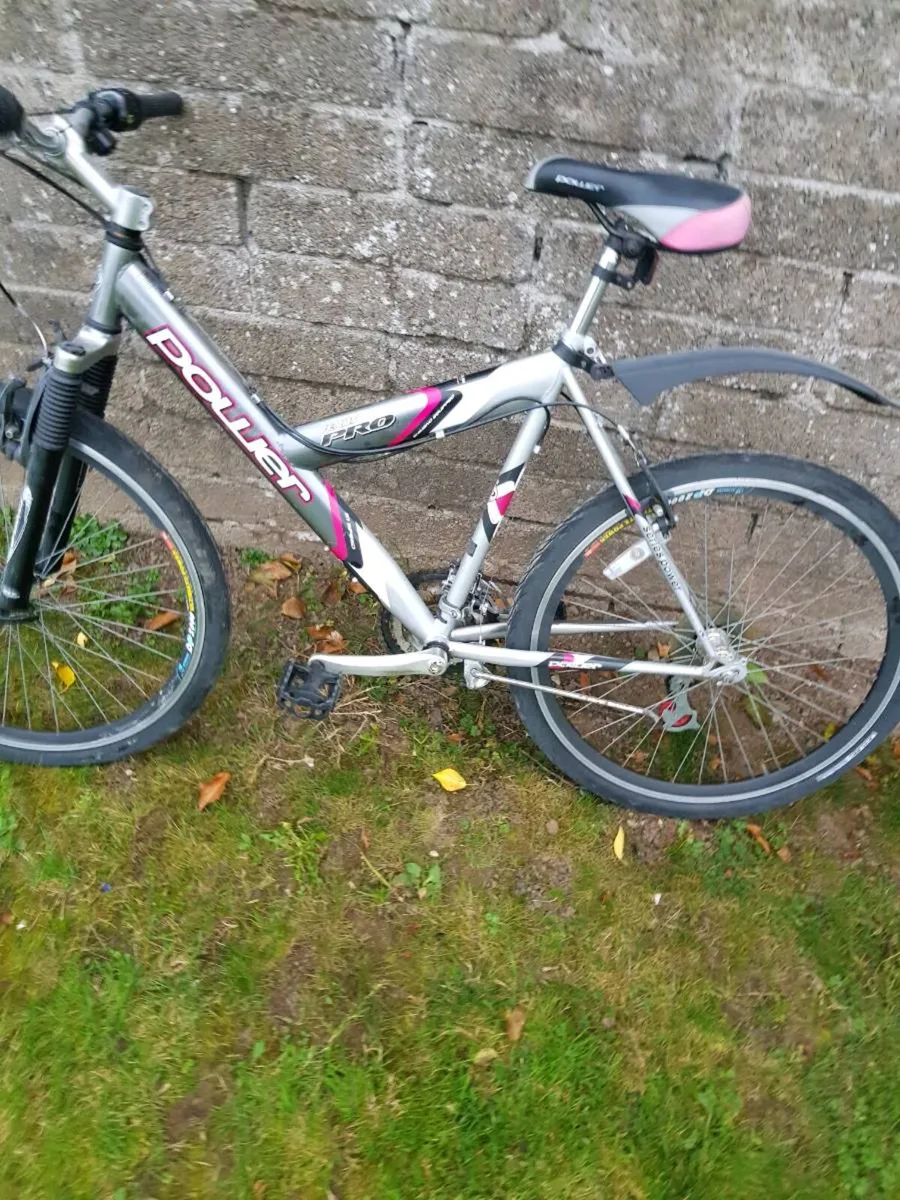 Bike - Image 1