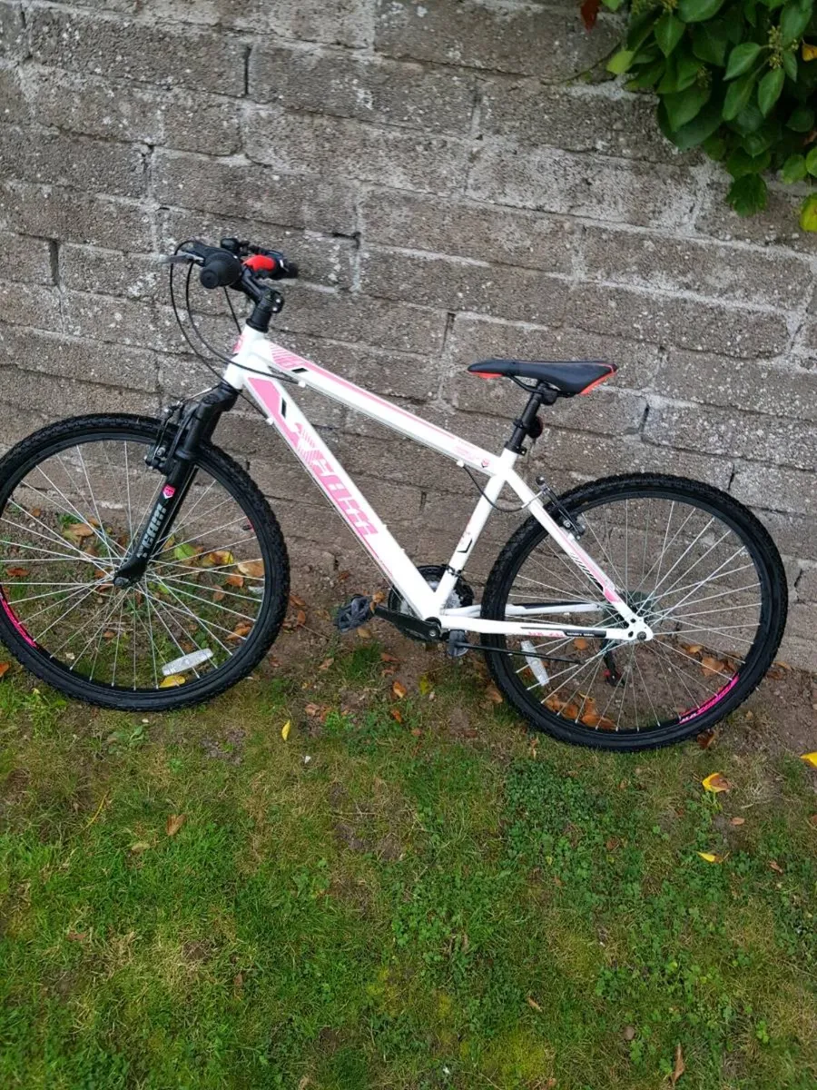 Bike - Image 2