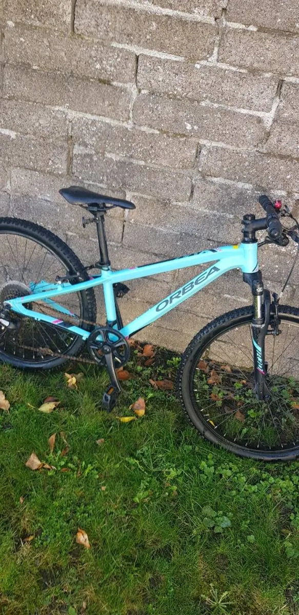 Bike - Image 1