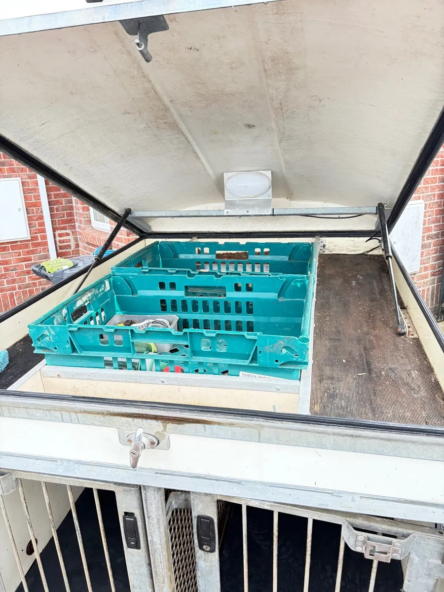 Dog trailer Factory build - Image 1