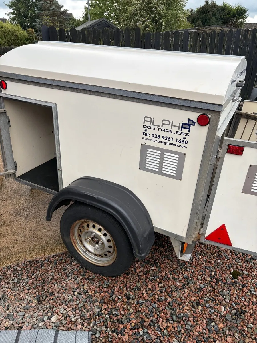 Dog trailer Factory build - Image 3