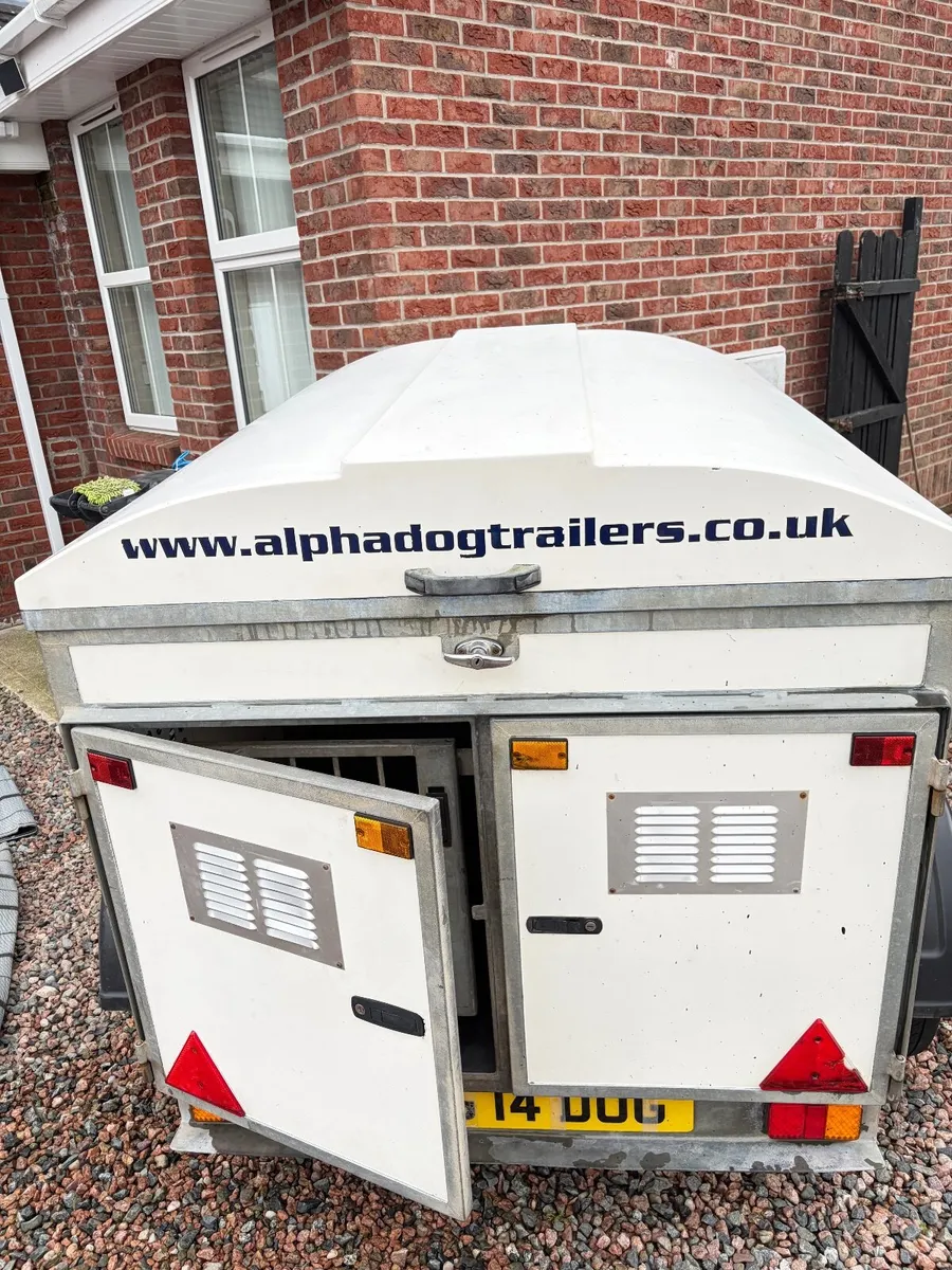 Dog trailer Factory build - Image 2