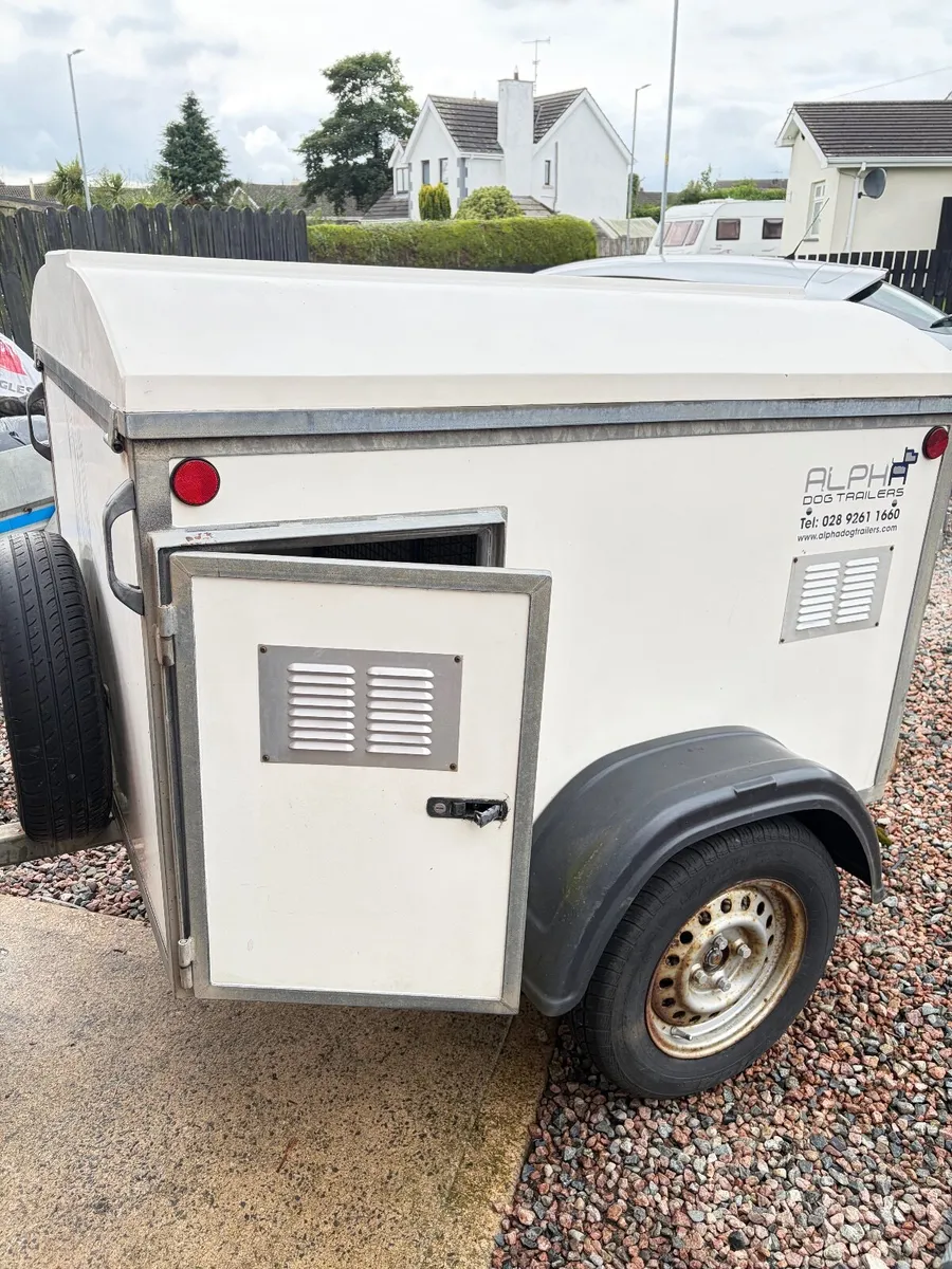 Dog trailer Factory build - Image 4