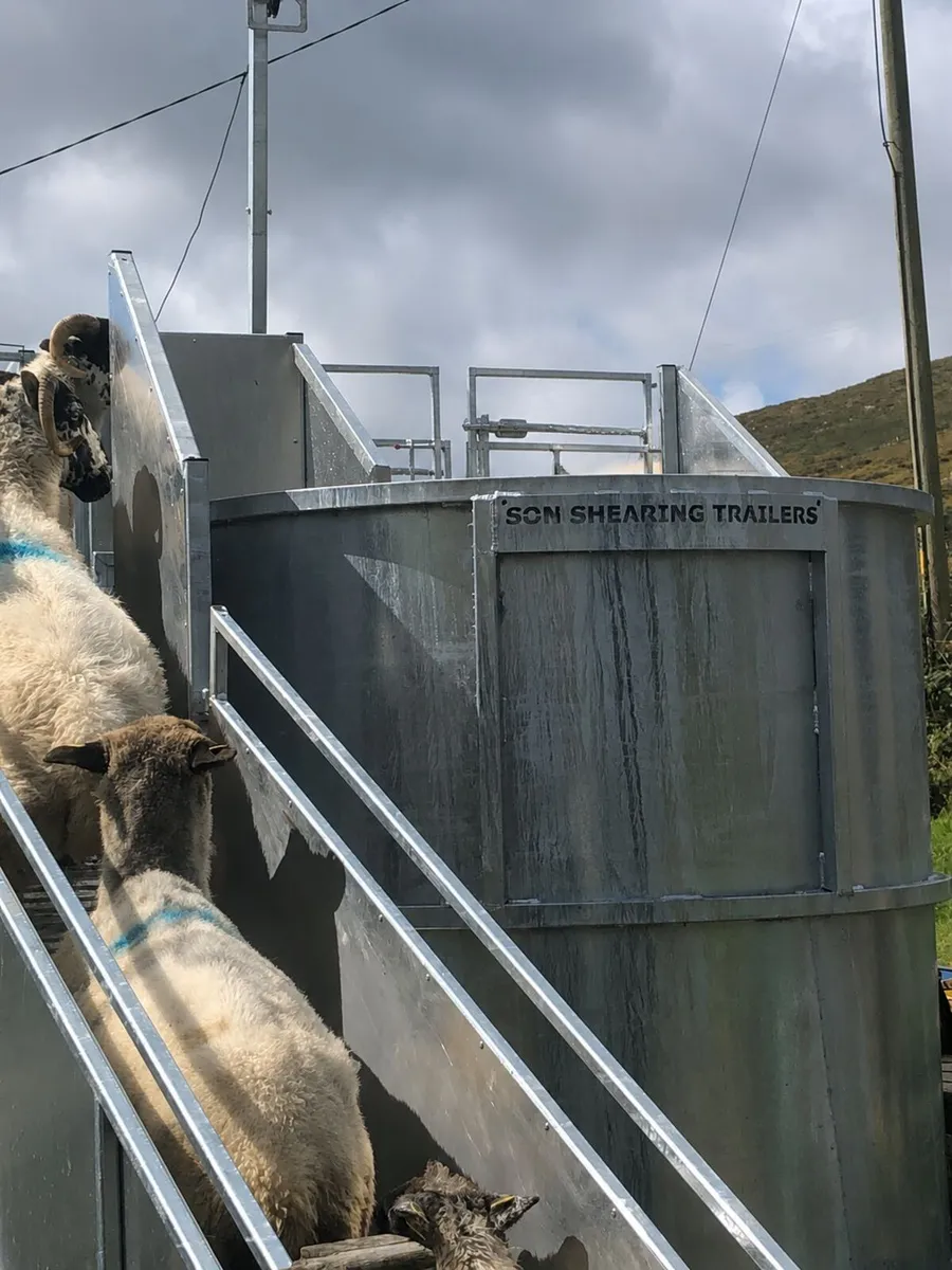 MOBILE SHEEP PLUNGE DIPPING SERVICE - Image 1