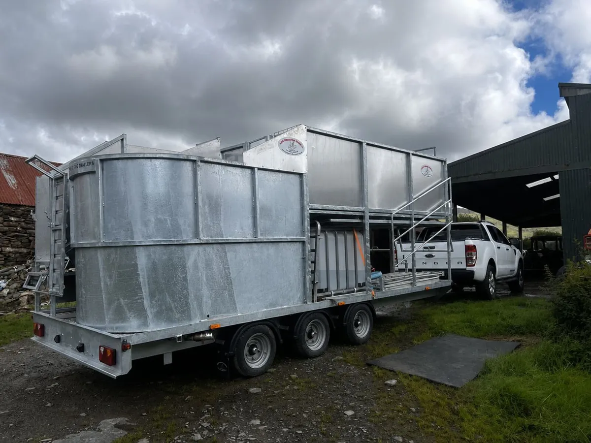 MOBILE SHEEP PLUNGE DIPPING SERVICE - Image 4