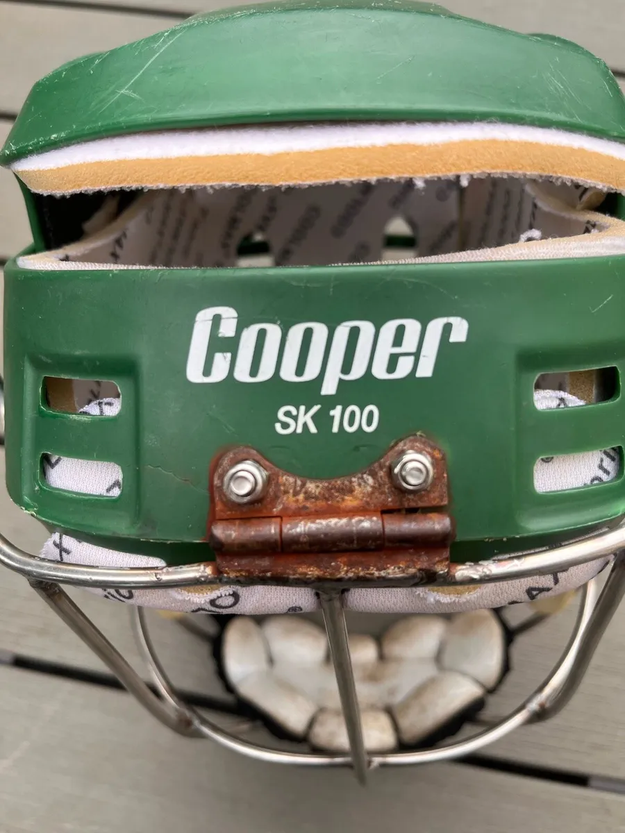 Oldstyle gerry cleere wide hinge guard - Image 1