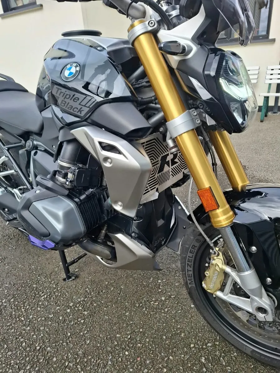 BMW R 1250 R se  2024 - Image 3