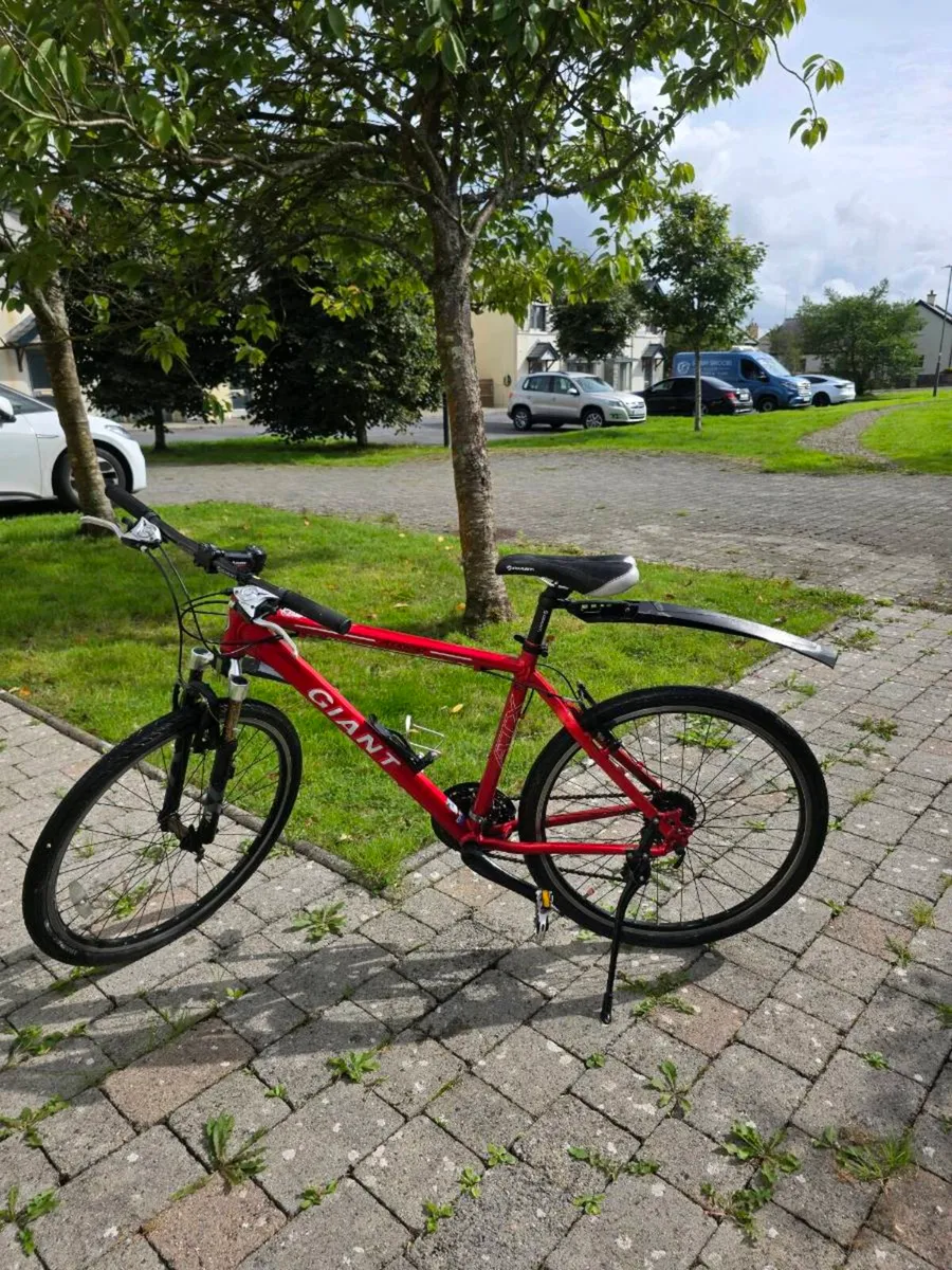 Giant mountain bike 19inch(medium) - Image 1