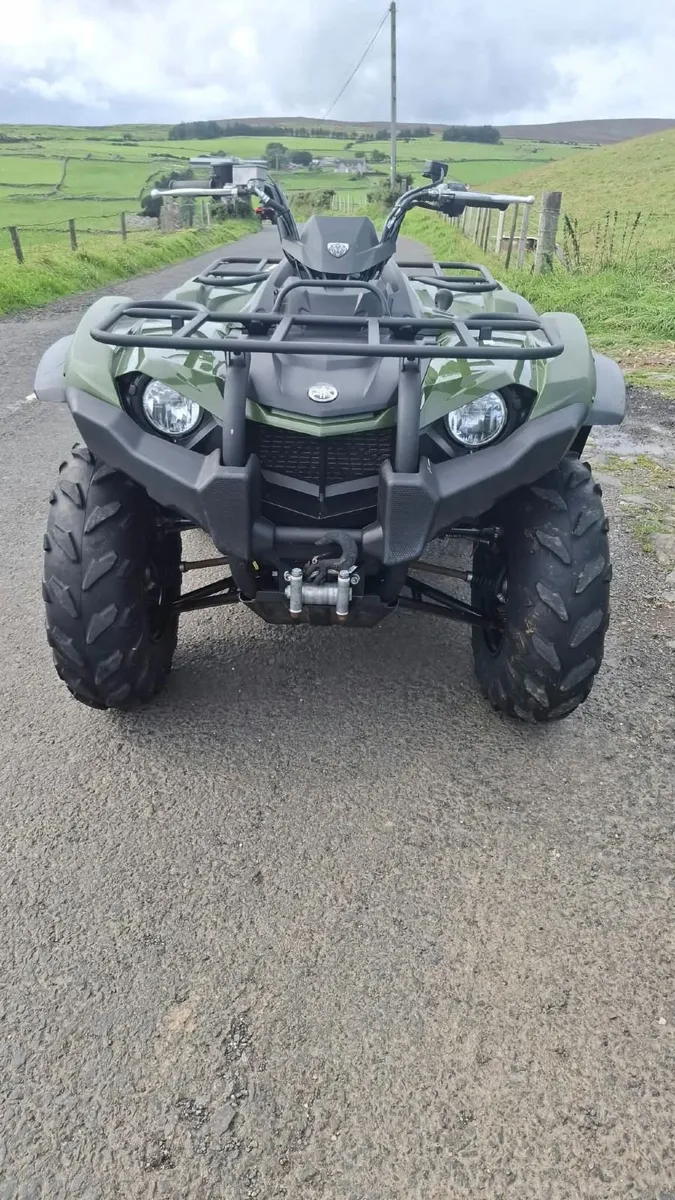 2025 Yamaha Kodiak 450 - Image 1