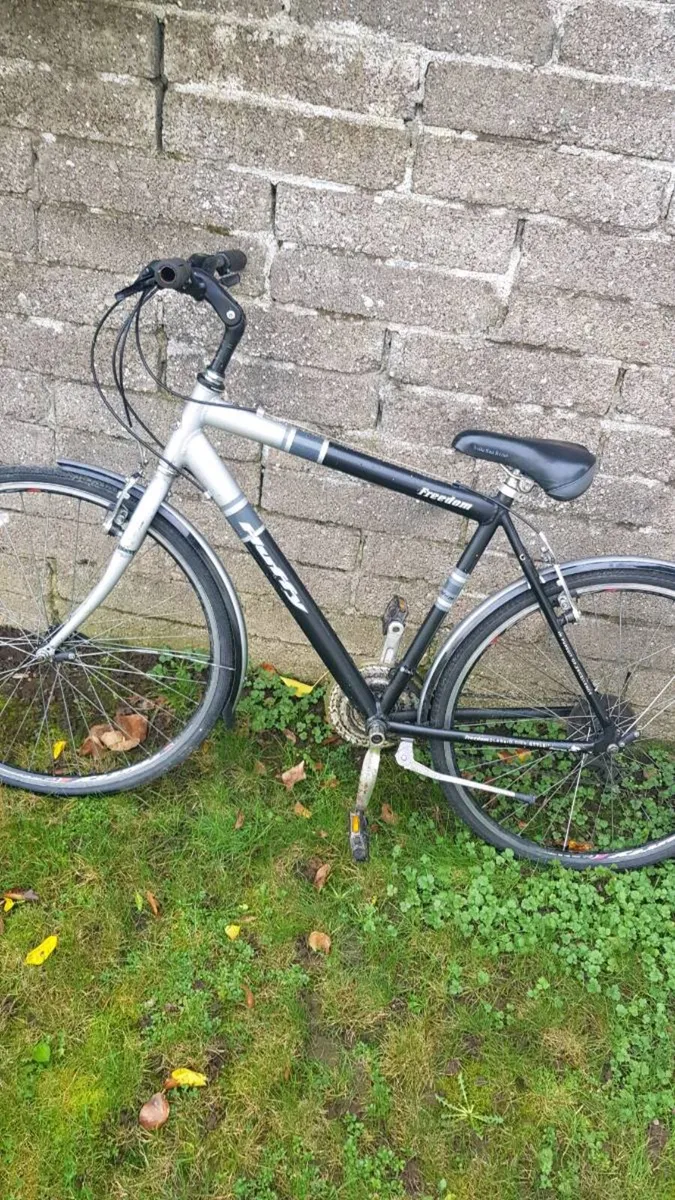 Bike - Image 1