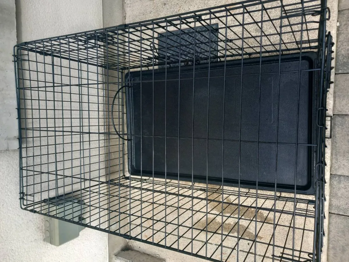 Large dog travel crate. - Image 3