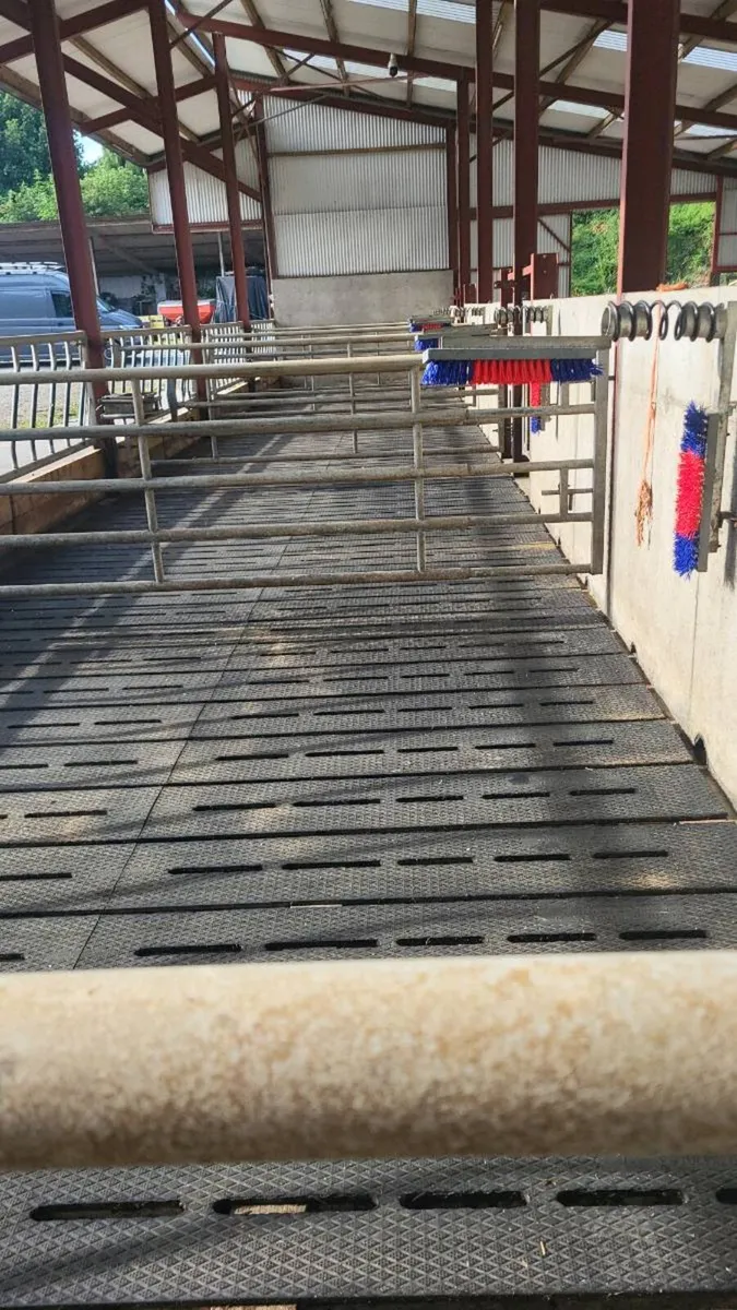power washing your sladded sheds power washing - Image 2