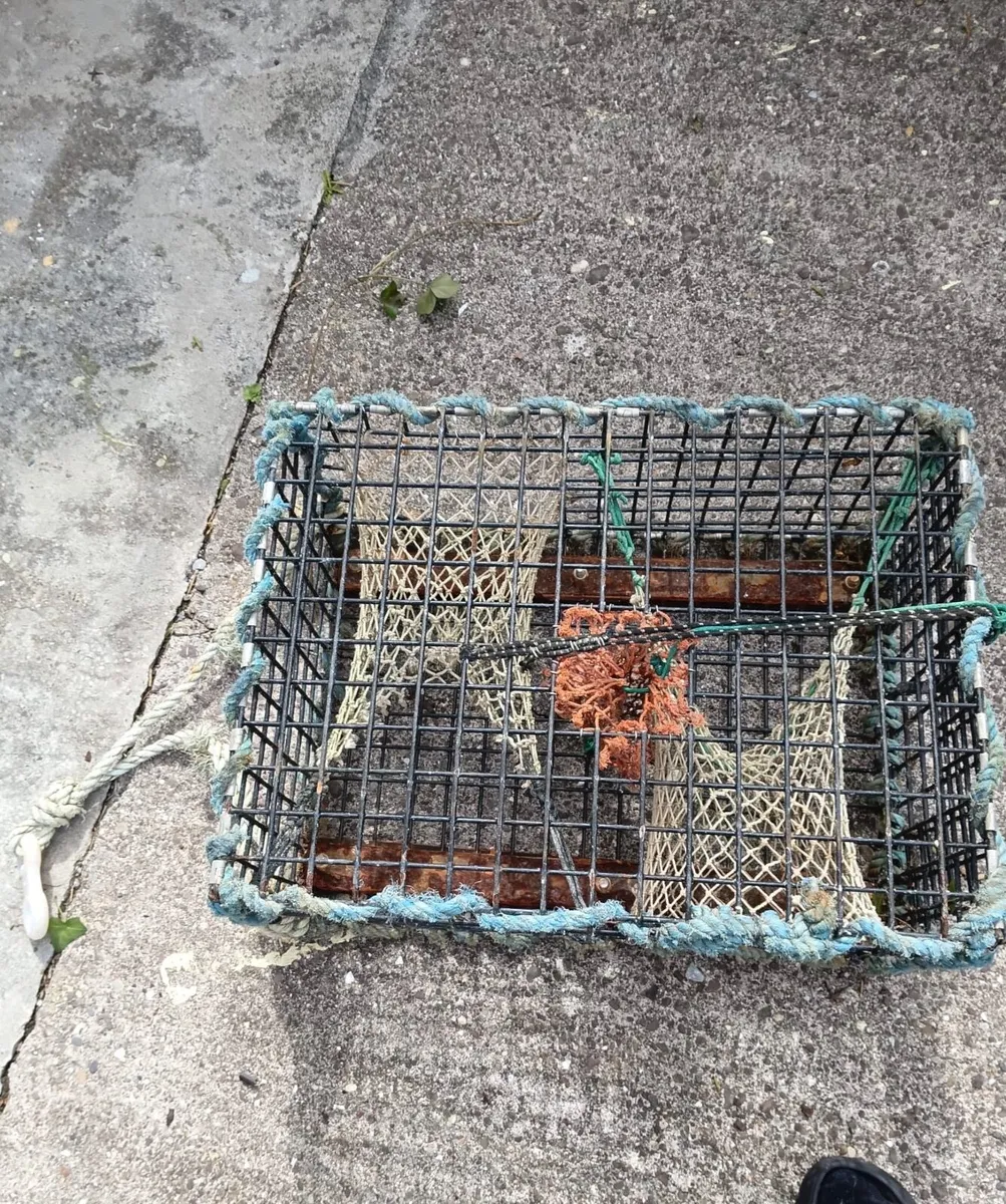 Lobster pots - Image 1
