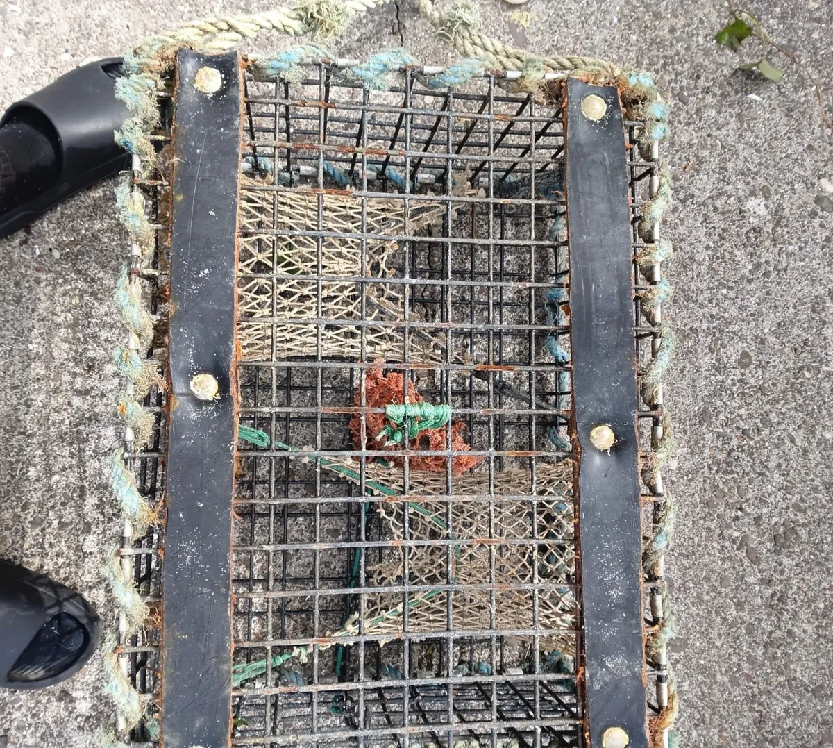 Lobster pots - Image 2