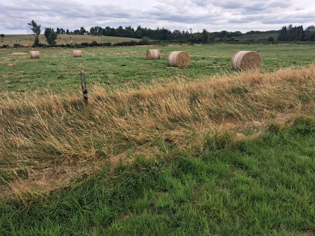 Hay & Silage Bales - Image 2