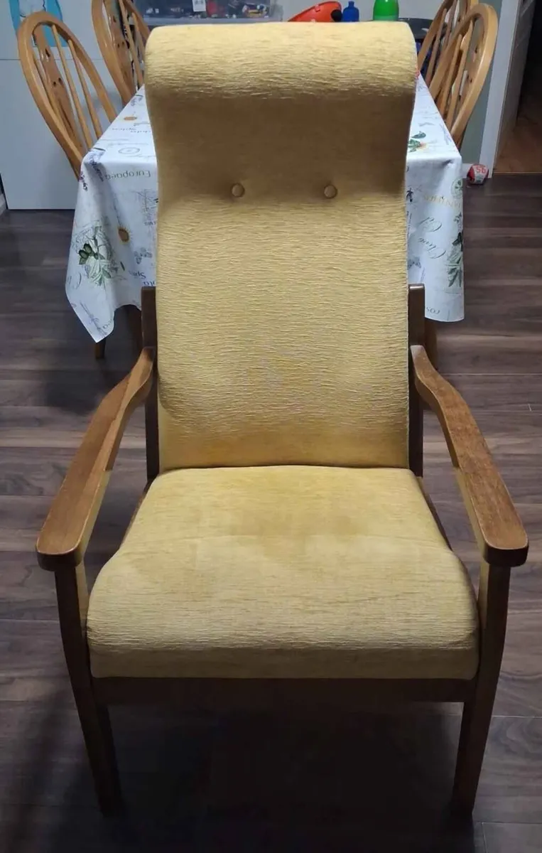Fireside arm chair - Image 1