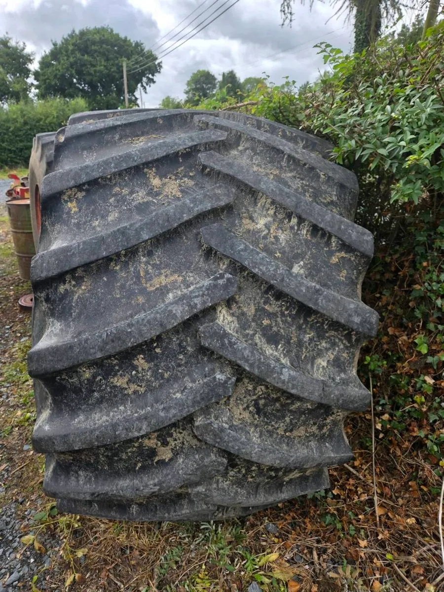 Oversized Tyres - Image 1