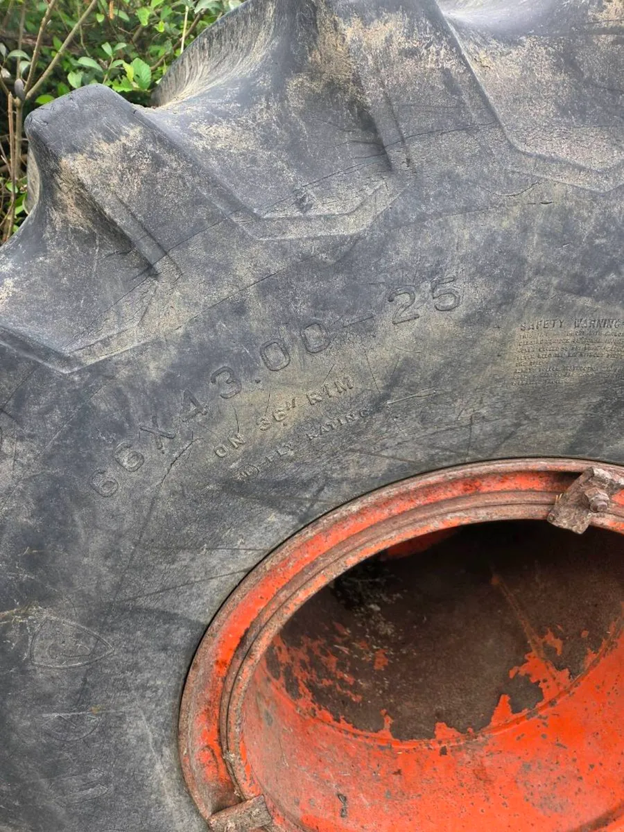 Oversized Tyres - Image 4