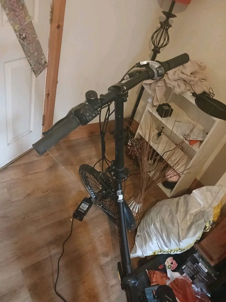 Ebike - Image 2