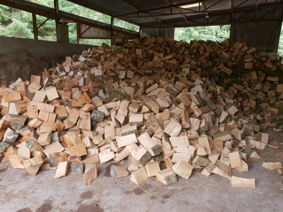 Firewood in bulk - Image 3