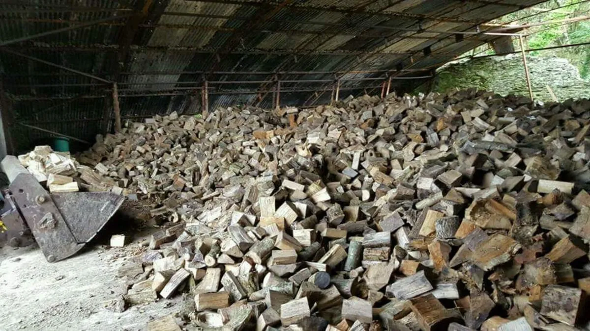 Firewood in bulk - Image 4