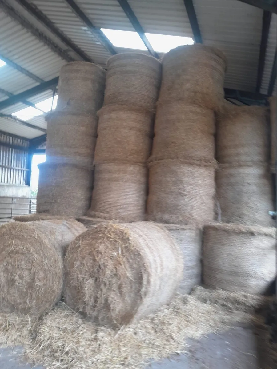 Silage Ground - Image 2
