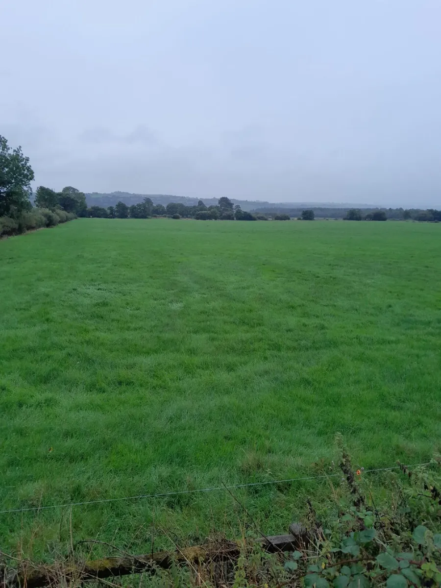Silage Ground - Image 1