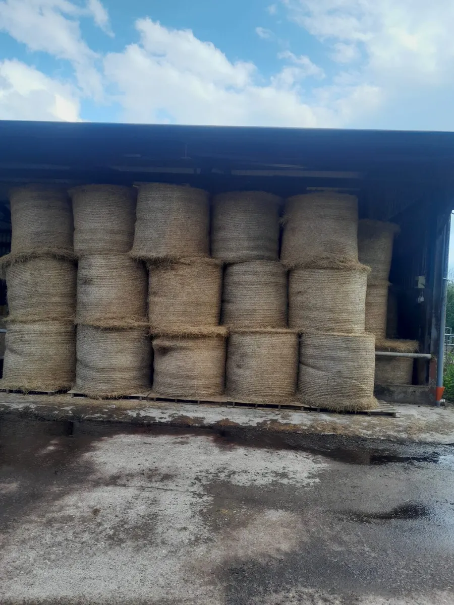 Silage Ground - Image 3