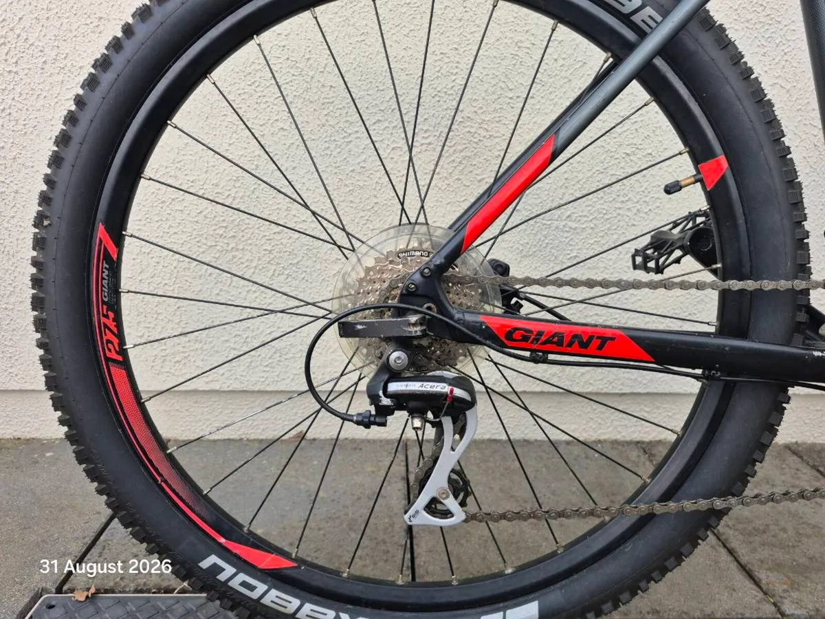 Adult mountain bike - Image 2