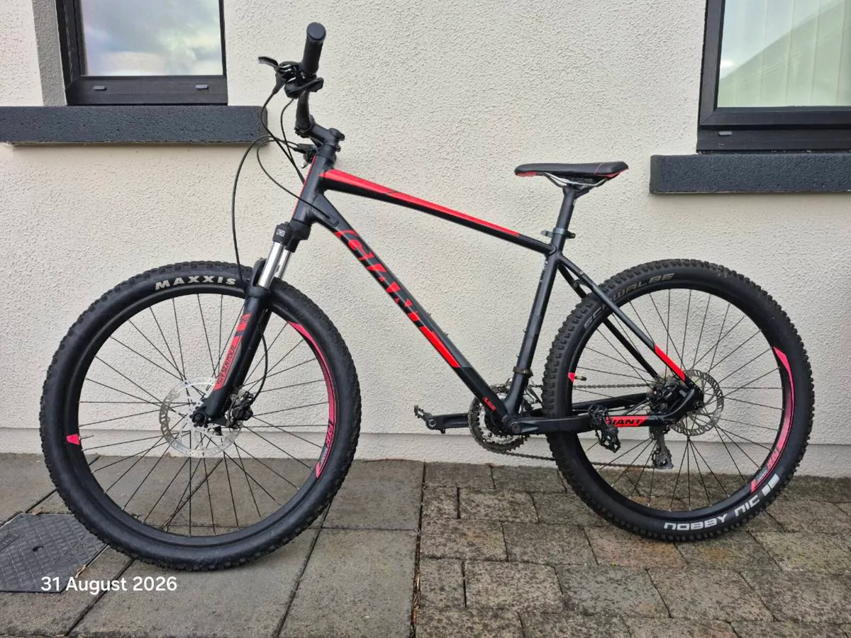 Adult mountain bike - Image 3
