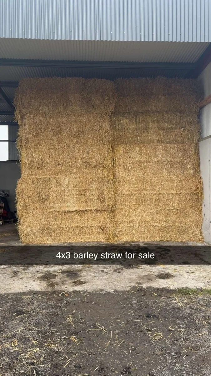 Straw - Image 1