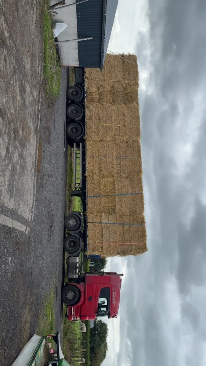 Straw - Image 2