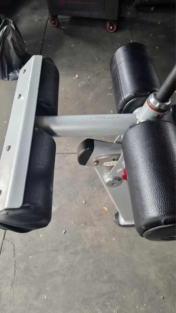 NAUTILUS DECLINE BENCH - Image 3