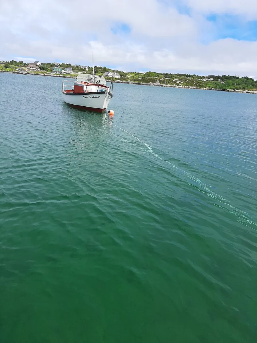 18ft Plymouth Pilot Boat - Image 1