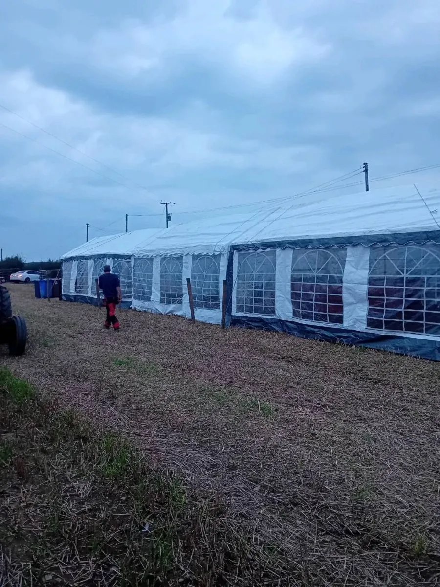 3 x Marquees - Image 1