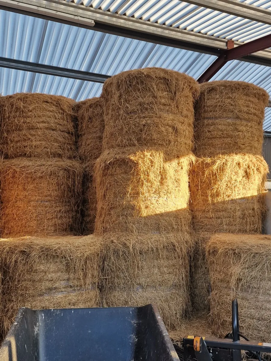 Bales for sale - Image 2
