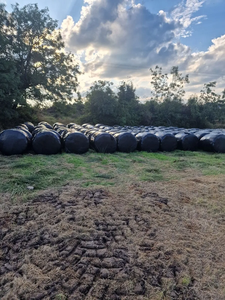 Bales for sale - Image 4