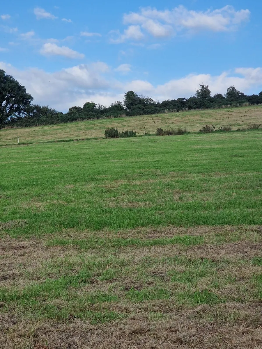 Bales for sale - Image 3