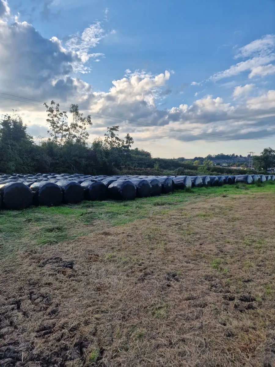 Bales for sale - Image 1