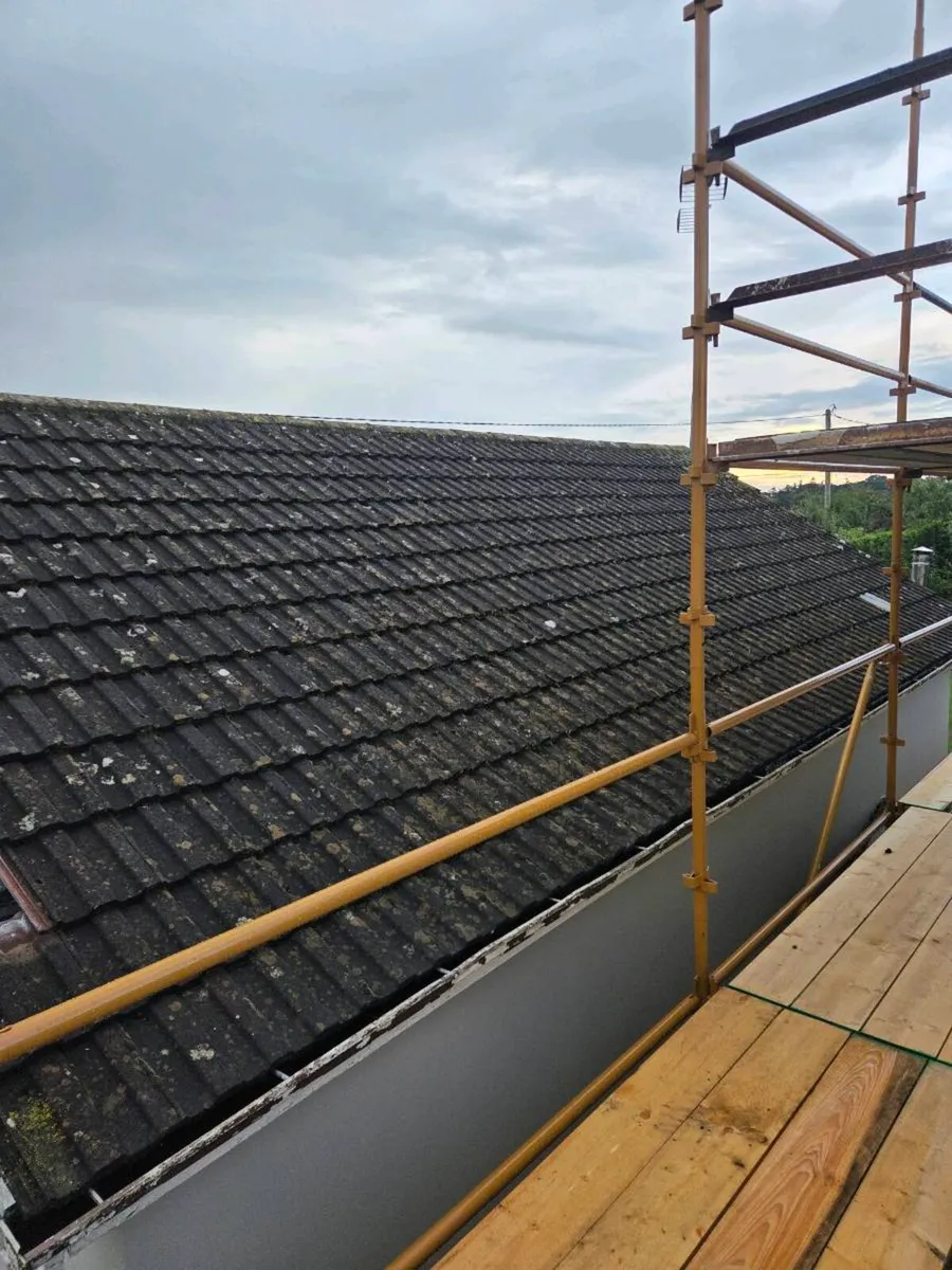 Roof tiles - Image 2