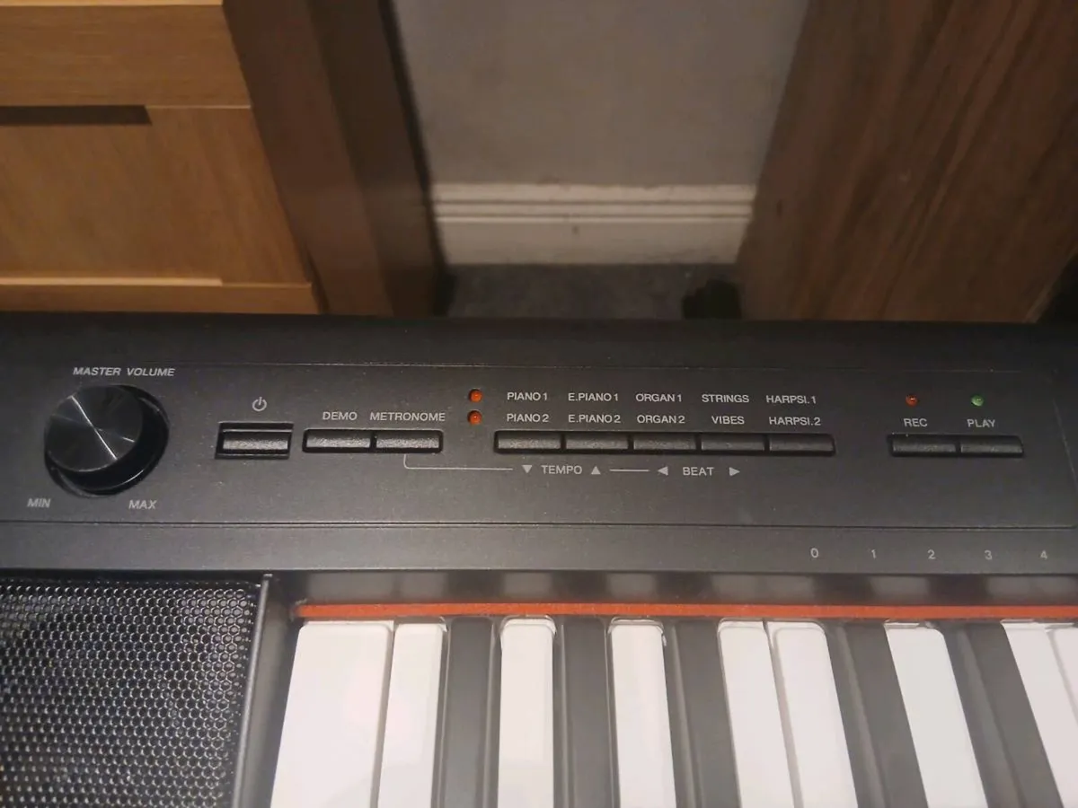 Piaggero NP-32 Keyboard - Image 2