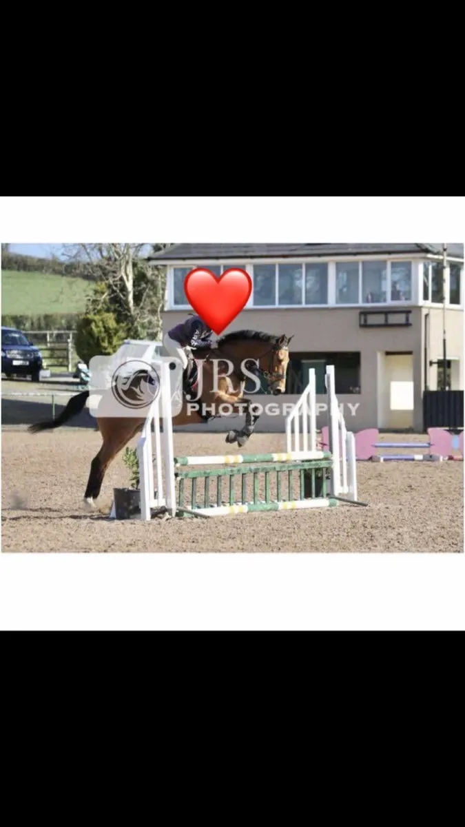 Dream first horse - Image 2