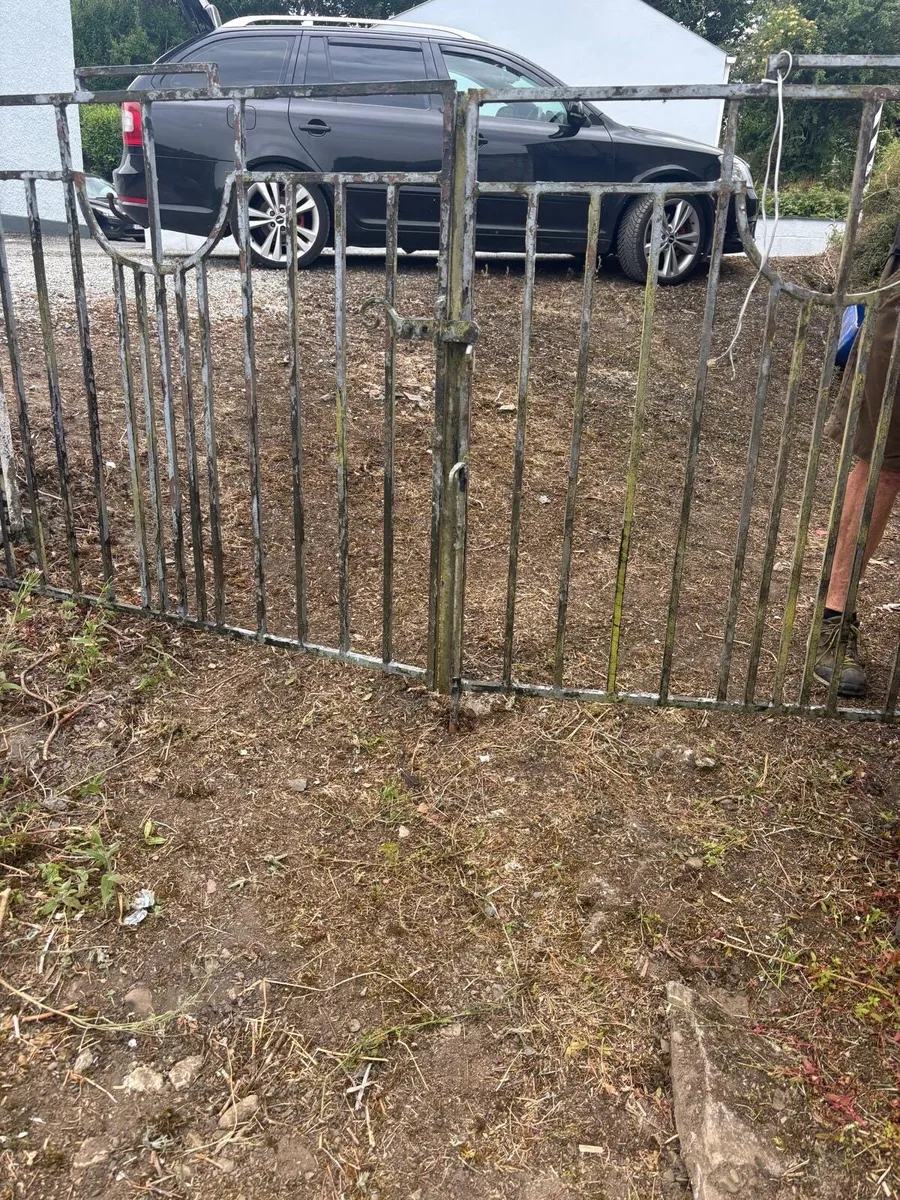Steel gate - Image 1